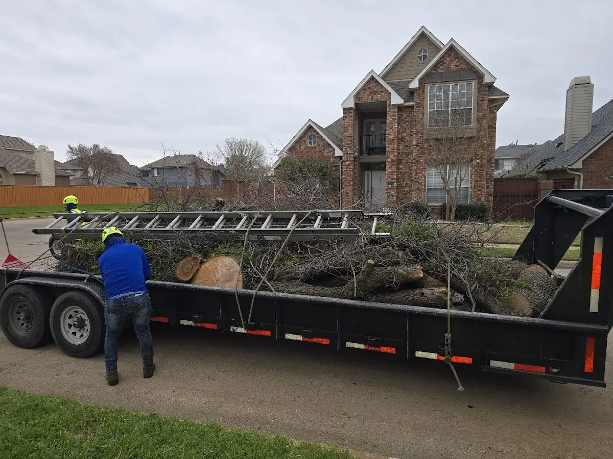 Expert Tree Fertilization with proper safety equipment in Enterprise